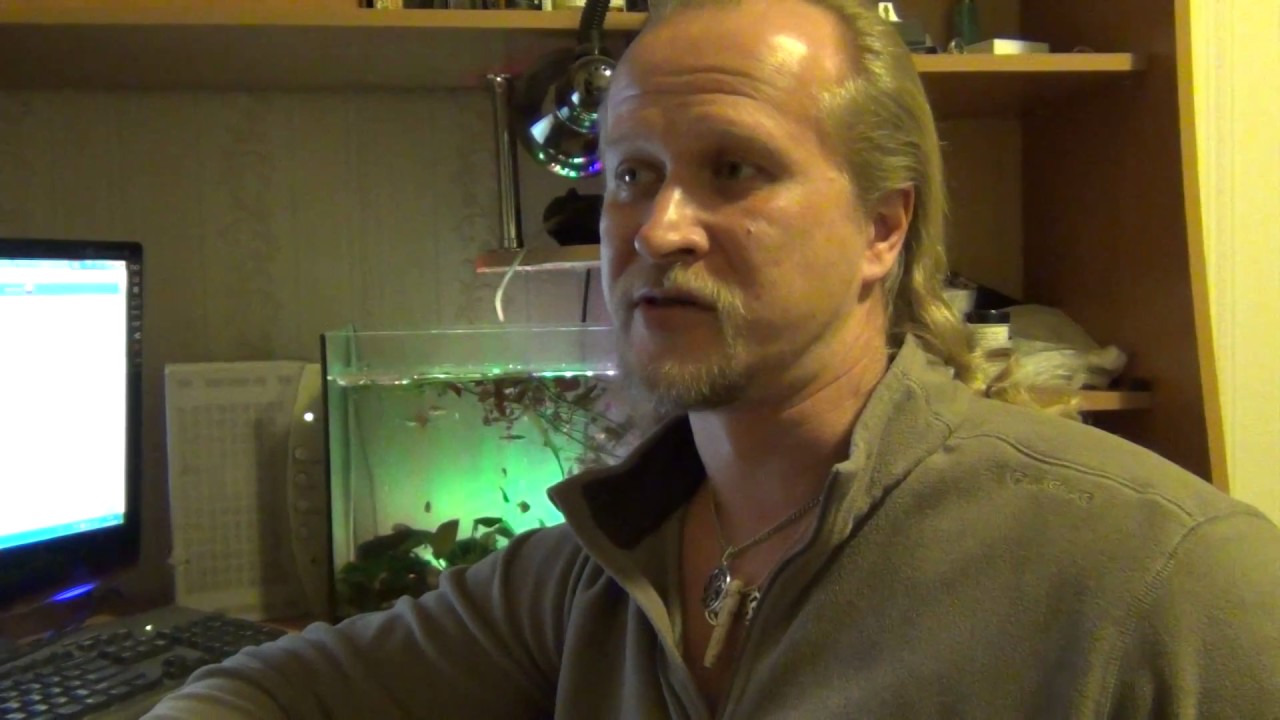 Див видео. - русский мороз (1996). Див мелаш. И. Украинские националистические шевроны.