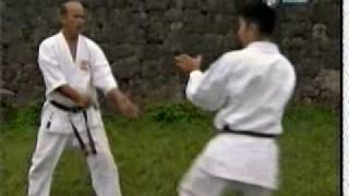 4-Uechi Ryu KarateDo - Kyohide Shinjo 8 Dan