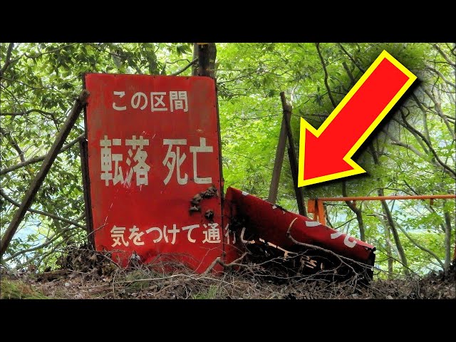 能登地震寄付　通辞ロドリゲス　南蛮の冒険者と大航海時代の日本・中国 能登地震寄付 通辞ロドリゲスー南蛮の冒険者と大航海時代の日本