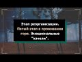 Этап реорганизации. Пятый этап в проживании горя. Эмоциональные "качели".