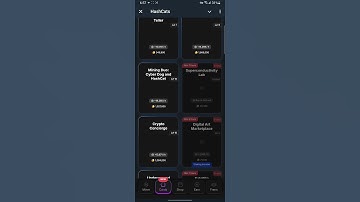 HASH CATS DAILY COMBO CARDS TODAY 20 October #hashcat #dailycombo #airdrop