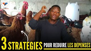 Partie 11: MES 03 STRATEGIES pour REDUIRE les DEPENSES sur MA FERME  de POULET (élevage de poulet)