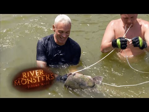 Do you have what it takes to catch a catfish with your bare hands