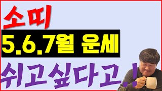 2024 양력 5월 6월 7월 소띠 운세 소띠도 사람이다. 쉴때는 쉬게 해줘야지.. 사주상담  010.557…