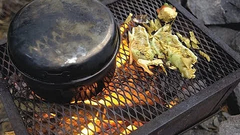 Camp Cooking 101
