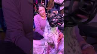 Muzzle Acclimation Part 4