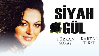 Siyah Gül Türk Filmi | FULL | TÜRKAN ŞORAY | KARTAL TİBET