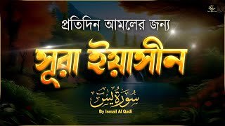 VKontakte-da onlayn mast porno videolar