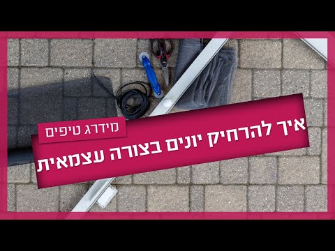 וִידֵאוֹ: מזינות ציפורים מקוריות בשיטת עשה זאת בעצמך