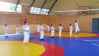 SENSEI ARMAN PETROSYAN ARMENIA