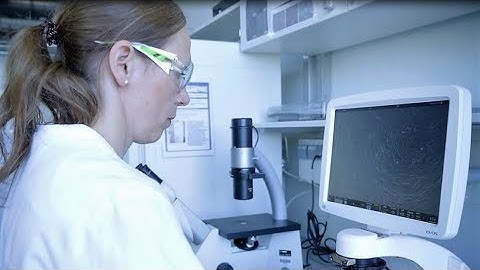 Q10 – 20 Years of Successful Skin Research at Beiersdorf