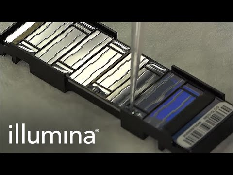 Learn About Illumina's Infinium Protocol - YouTube