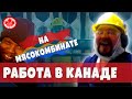 РАБОТА В КАНАДЕ на мясокомбинате