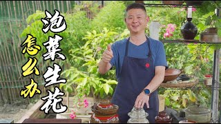 四川泡菜生花不好吃怎么办？这些泡菜保养方法看完就明白了