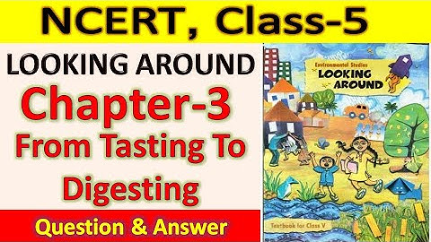 From Tasting To Digesting, Class 5, Chapter-3, EVS, Look Around, Question and Answer