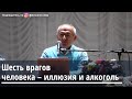 Торсунов О.Г.  Шесть врагов человека  - иллюзия и алкоголь