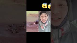 hippo aur crocodile karne ki #duet #reels #funny #harekfriendkaminahotahai #gameskhelkarpaisekai