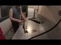 How to fillet and cut Walleye wings and cheeks!  Щёчки судака и крылышки!