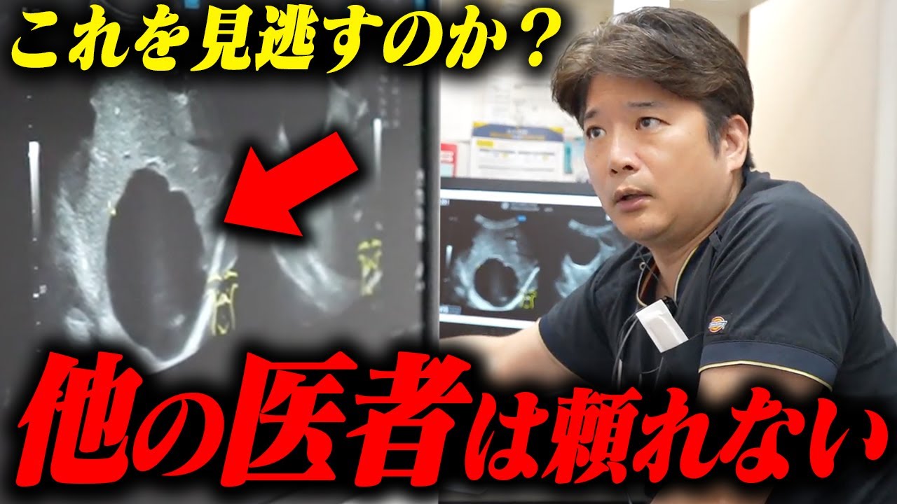 「下痢が続いてるんです...」しかしエコー検査で見つかったのは膵臓癌！？はっきり言います、これは...
