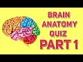 Brain Anatomy Quiz Part 1| Questions And Answers | College Level Difficulty