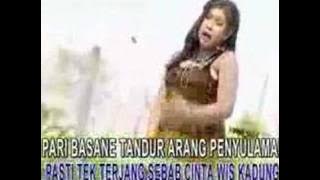 mabok jamur http://reguang.co.cc