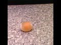 Spürnasenecke - Eischale löst sich auf
