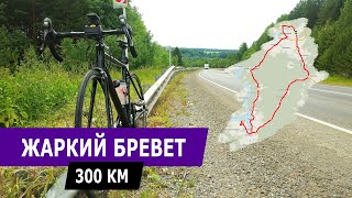 300 км за день на велосипеде. Бревет 