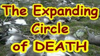 New: Fukushima & The Expanding Circle of Death (Rense) 8/29/16