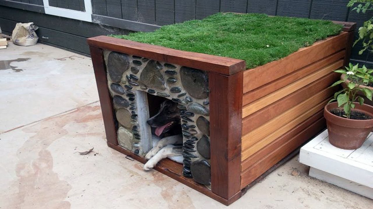 Unique Dog Houses Designs - YouTube