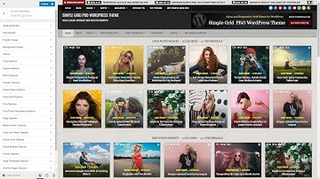 Customizer Theme Options - Simple Grid PRO WordPress Theme