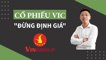 Cổ phiếu VIC (Vingroup), đừng định giá!