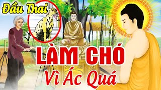 NGƯỜI MẸ ĐỘC ÁC, Đầu Thai Làm Chó Giữ Cửa...Được Phật HÓA ĐỘ _ Chuyện Nhân Quả 2024 Hay_Sợ Khiếp Vía