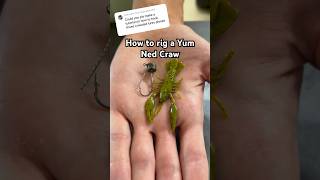 How to hook a Yum Ned Craw #shorts #fishing #fishingshorts #bassfishing #bass #fishinggear #lure