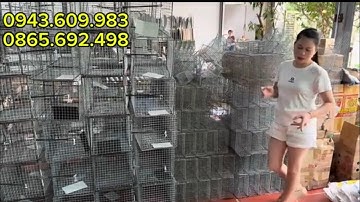 LỒNG BẪY CHUỘT ĐƯỜNG MÒN CỐNG NHUM , SÓC ĐẤT , LỒNG BẪY CẦY CHỒN CÁO GIÁ HẠT RẺ HÀNG ĐẶT TẠI XƯỞNG 💥