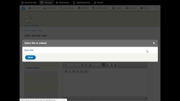 Drupal 8: Cannot embed more than one image