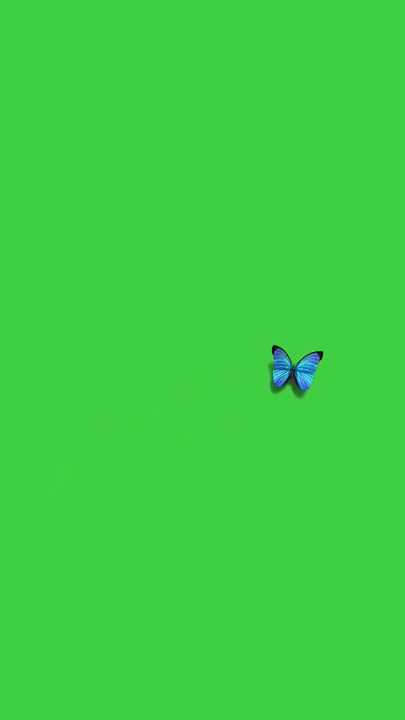 Hd butterfly🦋 no copyright green screen video//copyright free//youtube best video