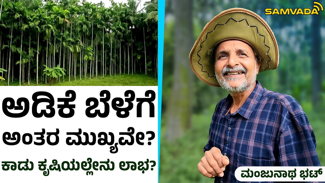 ಅಡಿಕೆ ಬೆಳೆಗೆ ಅಂತರ ಮುಖ್ಯವೇ? | ಕಾಡು ಕೃಷಿಯಲ್ಲೇನು ಲಾಭ? | ಮಂಜುನಾಥ ಭಟ್