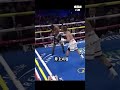 唖然...井上尚弥がダウンした日 #井上尚弥 #boxing #格闘技 #ボクシングニュース