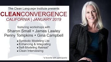 Working with Physical Symptoms at Clean Convergence 2019 with Penny Tompkins & James Lawley.