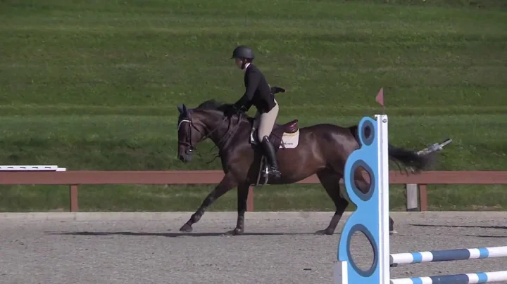 Languster's Lady Liberty ridden by Courtney Tom | ...