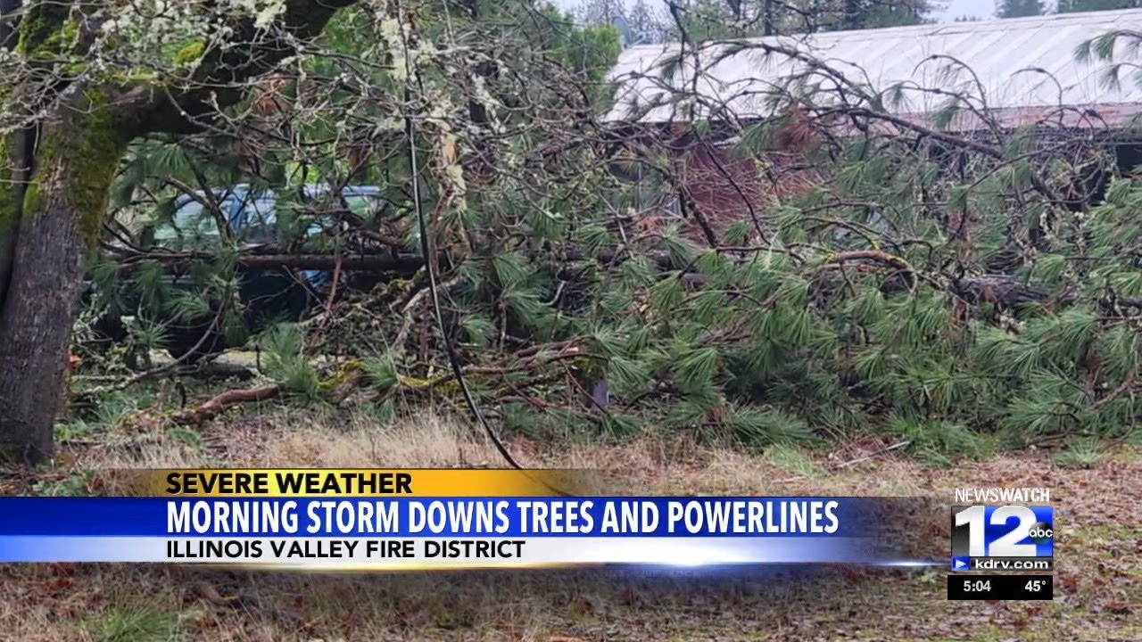 Morning storm downs trees and powerlines - YouTube
