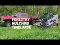 Forestry Mulching Timelapse