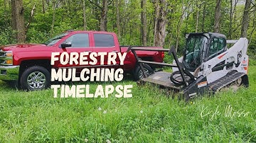 Forestry Mulching Timelapse