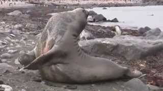 New Wins & Fails Compilation June 2014