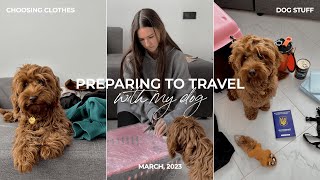 Vlog | Что нужно взять с собой в поездку с собакой на поезде & чем я кормлю своего щенка 🐶🤎