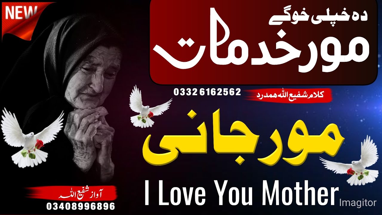 لگ سوچ وکہ چی مور درنہ خوشحالہ دہ کنہ دہ بہترین نظم آواز شفیع اللہ کلام جناب شفیع اللہ ھمدرد 