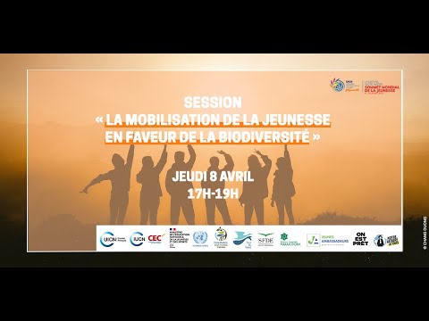 Vidéo: Notes Du Mouvement International Des Jeunes Pour Le Climat, Doha - Réseau Matador