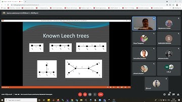 Talk 38 On Leech Trees and Some Related Concepts