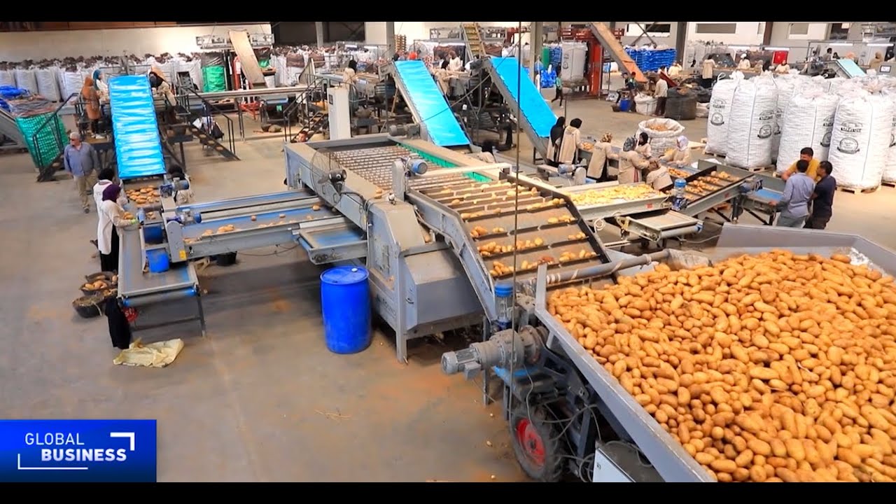 Egypt commits  billion to bolster food security