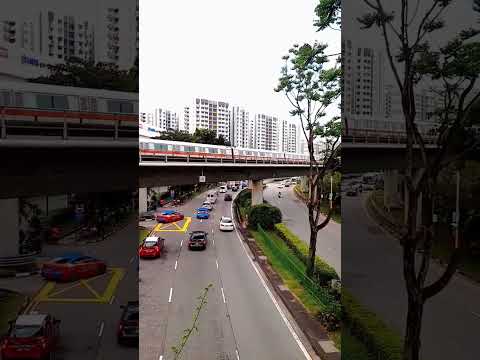 Mass Rapid Transit Singapore | singaporeus #youtubeshorts  #viral #shorts #mrt #views #singaporeus